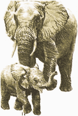 инерция взрослого слона больше, чем инерция маленького
